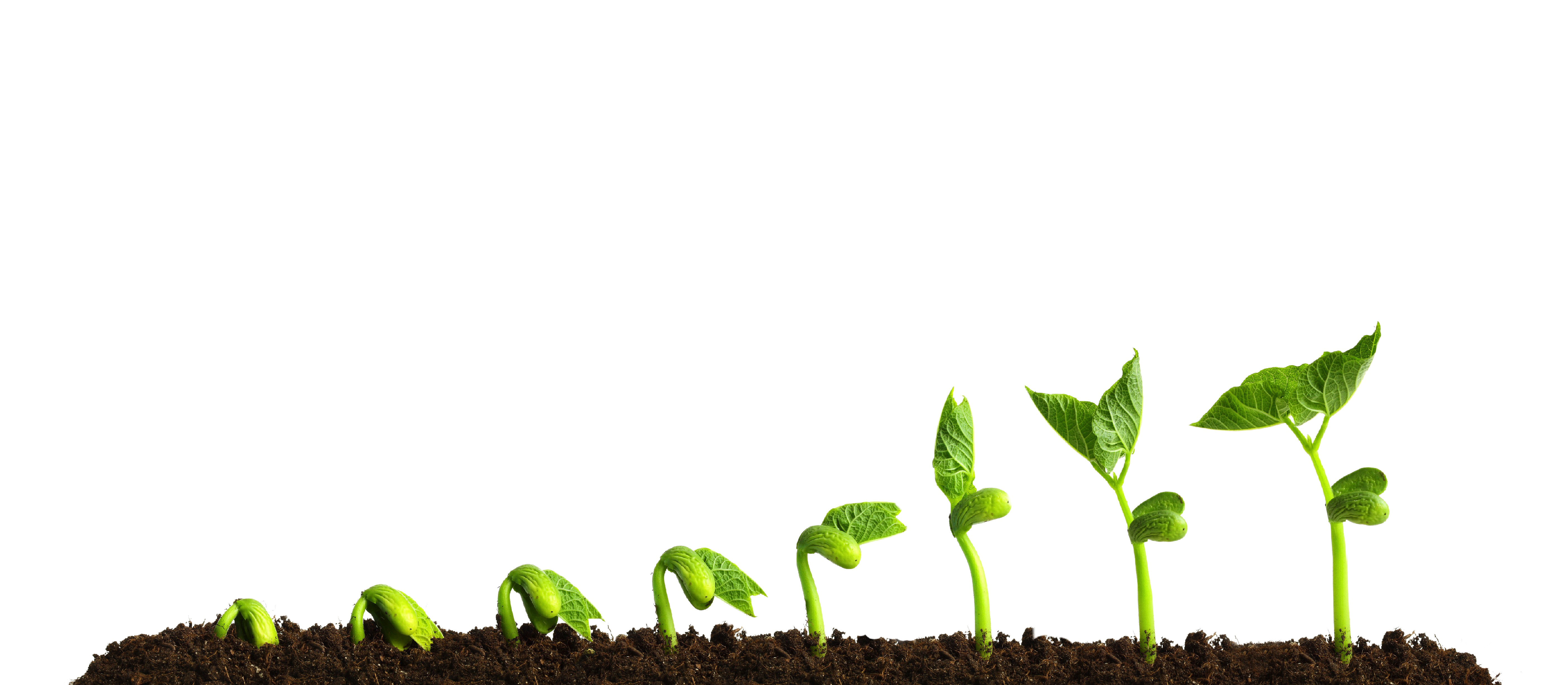 Download PNG image - Grow PNG Transparent Picture 