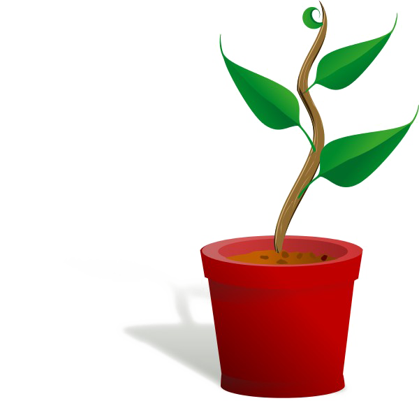 Download PNG image - Growing Plant PNG Free Download 