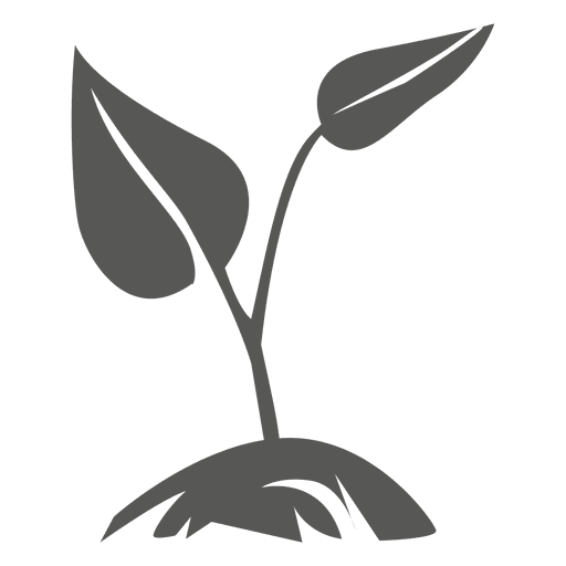Download PNG image - Growing Plant PNG Pic 