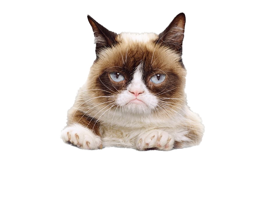 Download PNG image - Grumpy Cat Face PNG File 