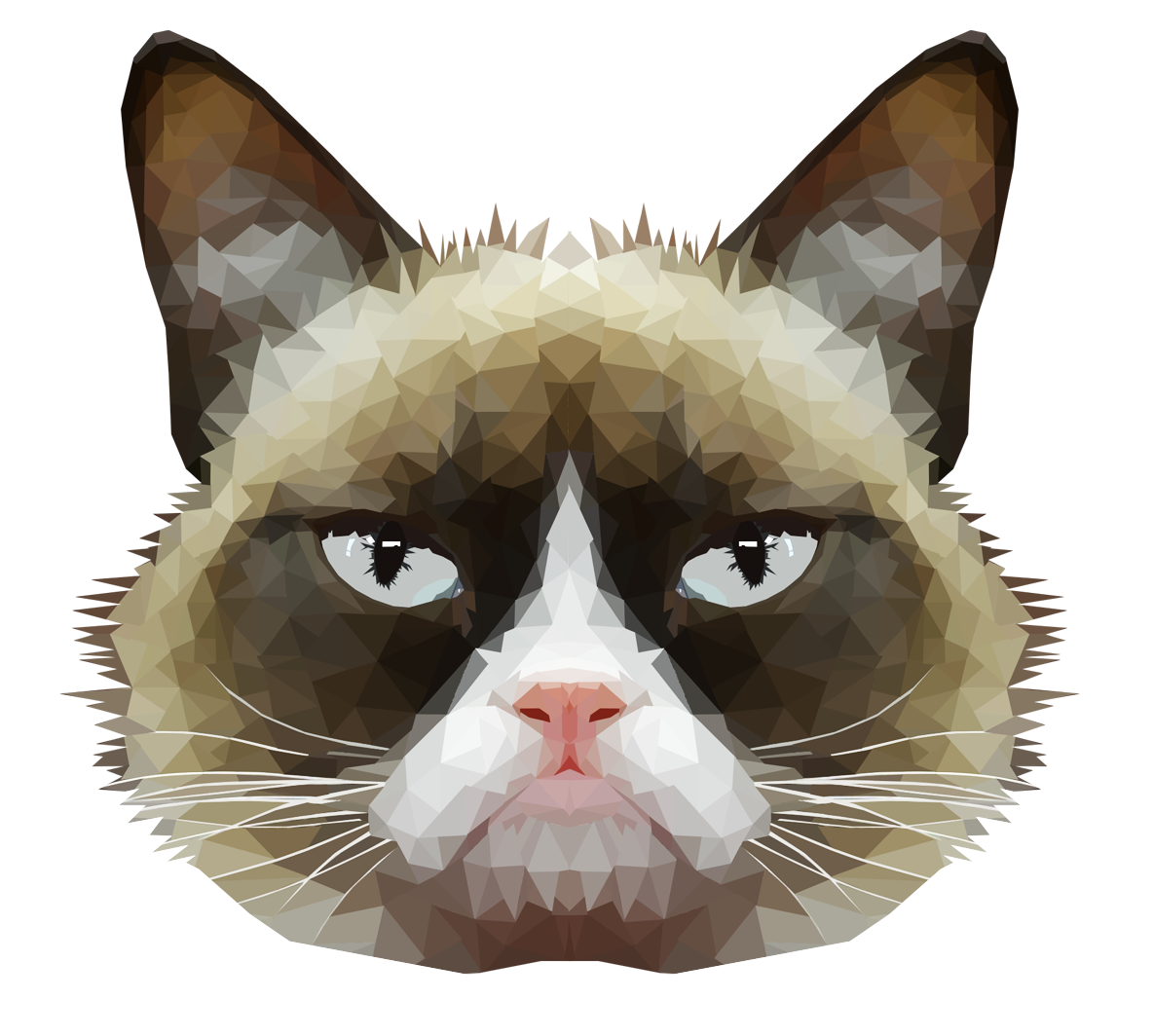 Download PNG image - Grumpy Cat Face PNG HD 
