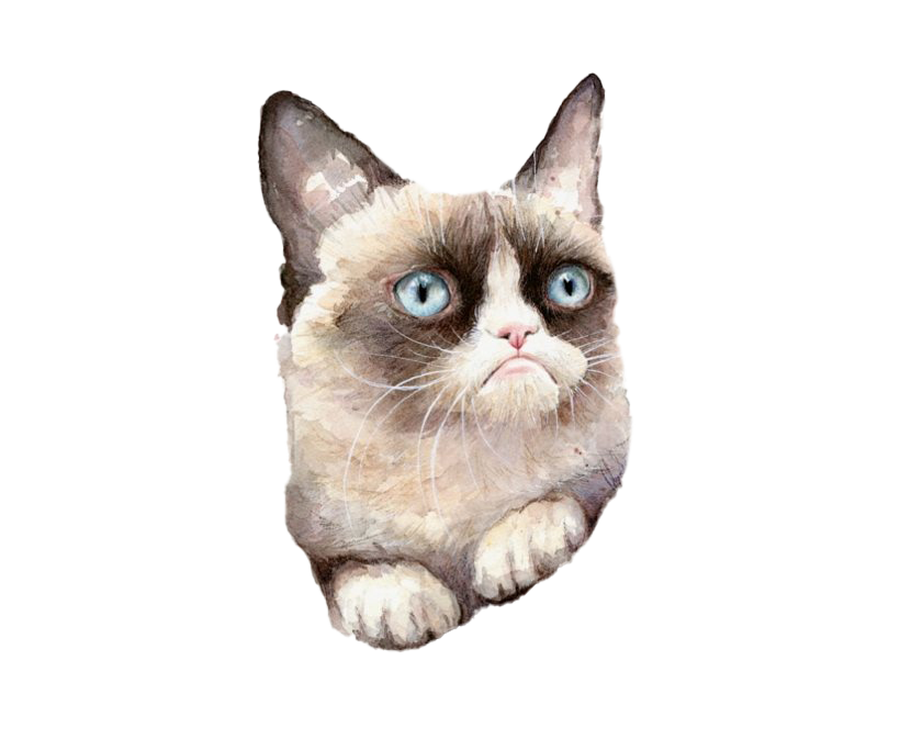 Download PNG image - Grumpy Cat PNG Clipart 
