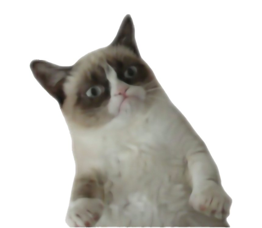 Download PNG image - Grumpy Cat PNG File 
