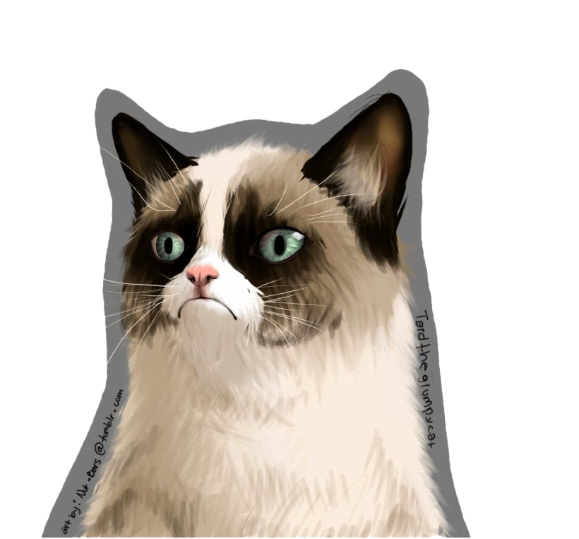 Download PNG image - Grumpy Cat PNG Free Download 