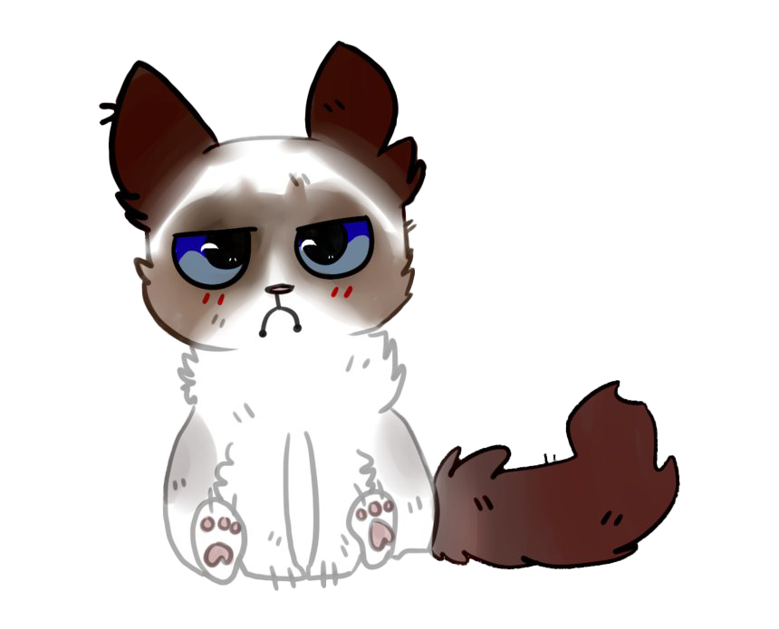 Download PNG image - Grumpy Cat PNG Image 