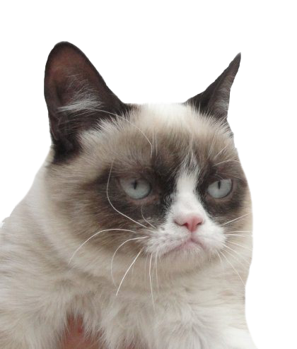 Download PNG image - Grumpy Cat PNG Transparent 