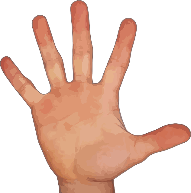 Download PNG image - Hand With Five Fingers PNG 
