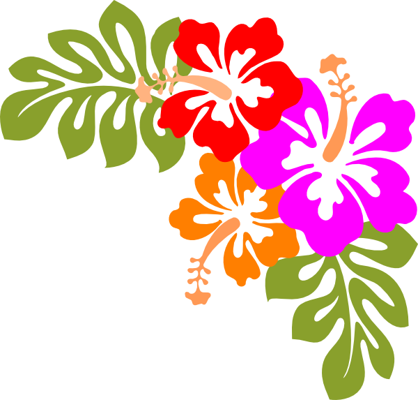 Download PNG image - Hawaiian Luau Aloha Flower PNG HD 