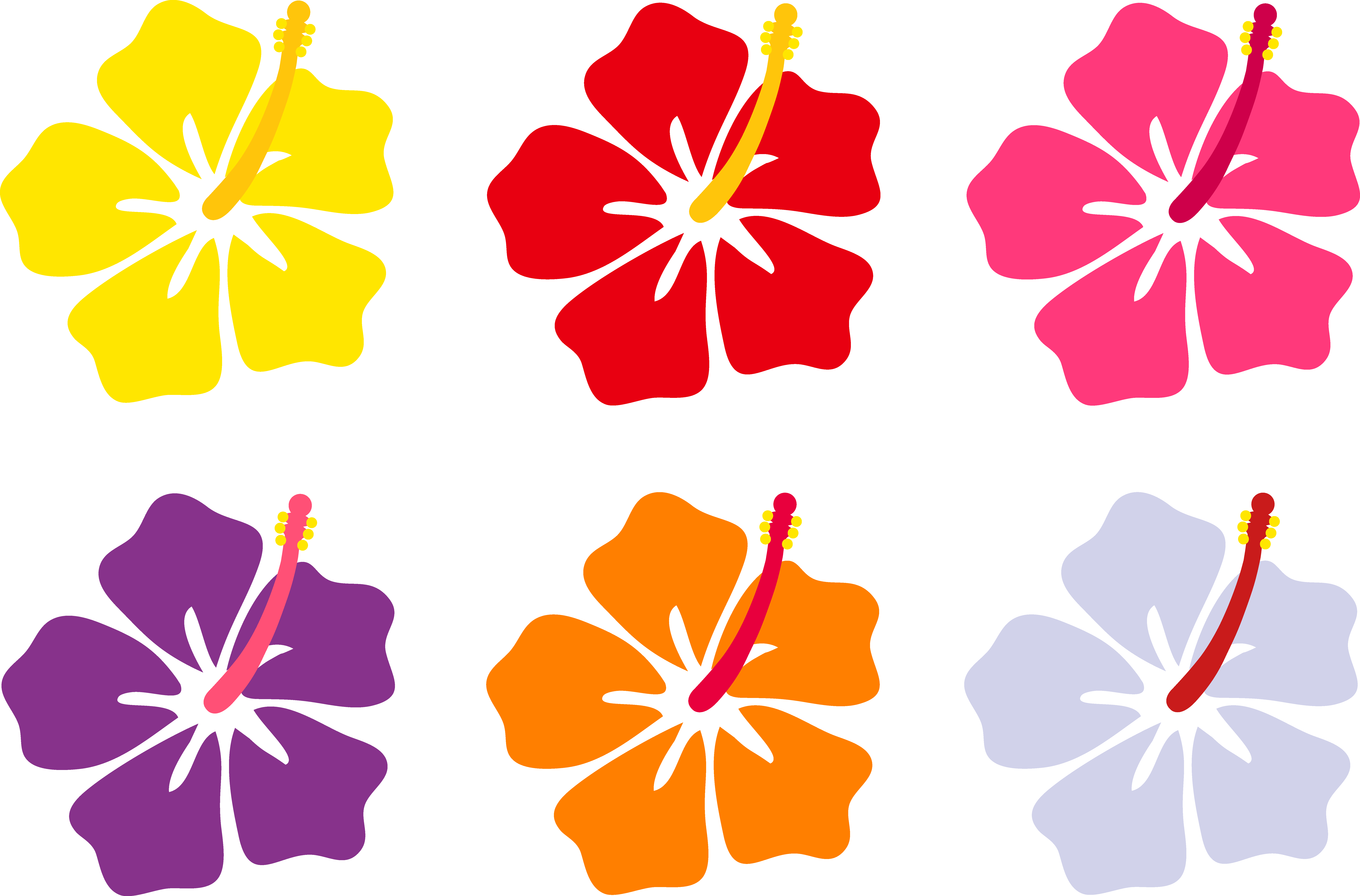 Download PNG image - Hawaiian Luau Aloha Flower PNG Image 