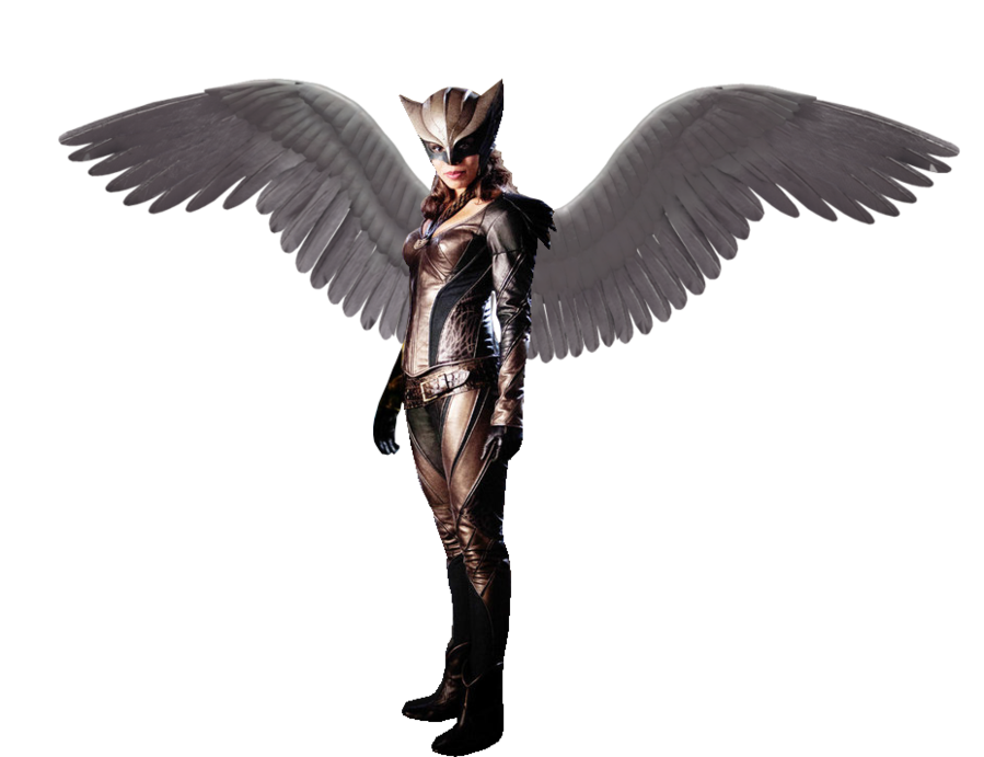 Download PNG image - Hawkgirl PNG Photos 
