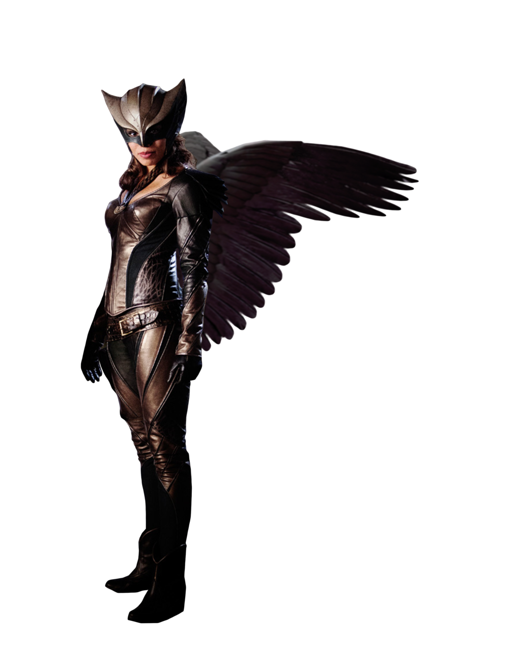 Download PNG image - Hawkgirl PNG Transparent Image 
