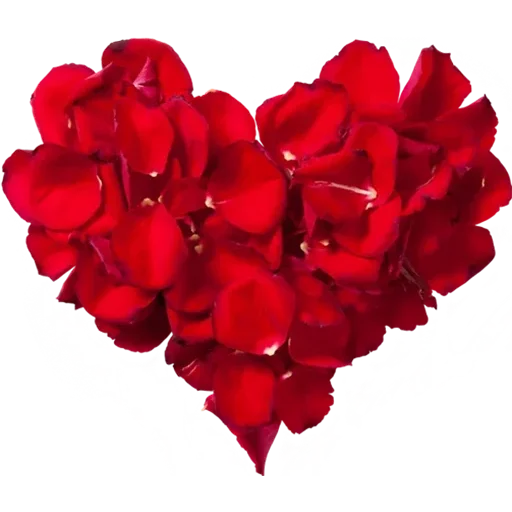 Download PNG image - Heart Rose PNG Clipart 