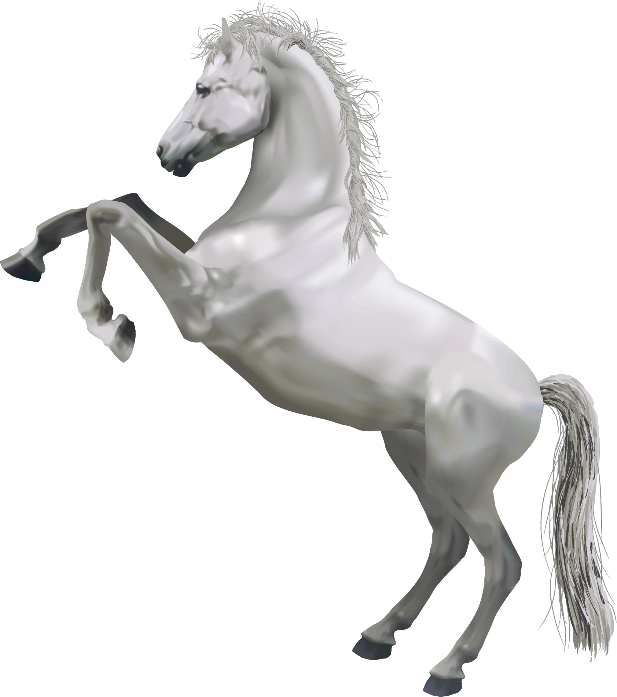 Download PNG image - Horse PNG Pic 
