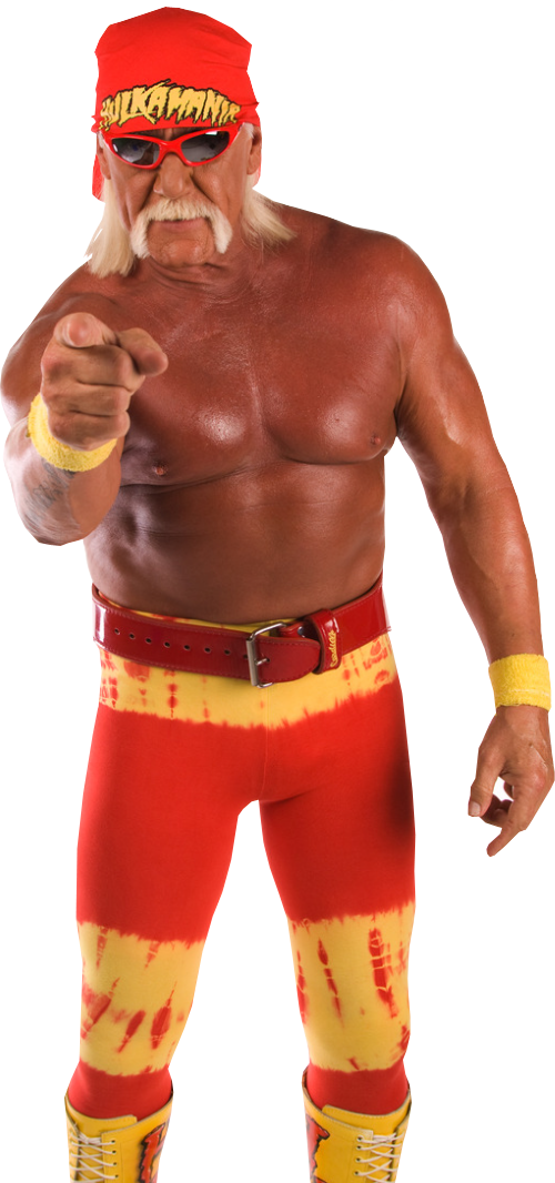 Download PNG image - Hulk Hogan PNG Clipart 