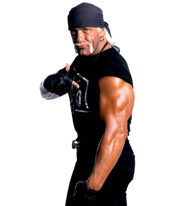 Download PNG image - Hulk Hogan PNG File 