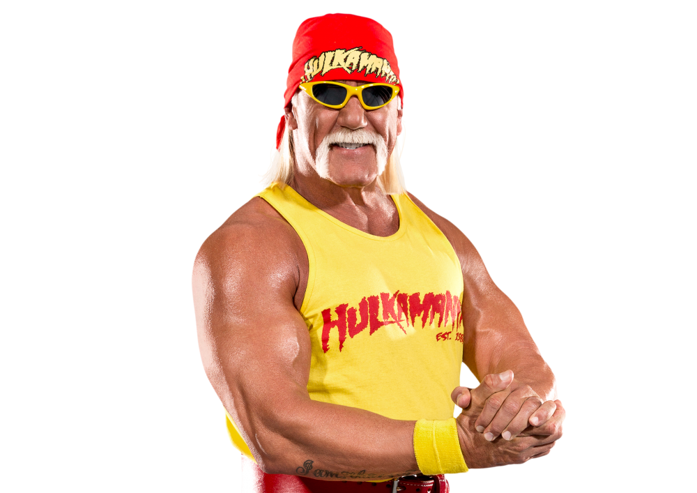 Download PNG image - Hulk Hogan PNG Image 