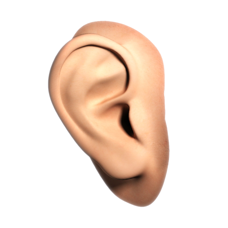 Download PNG image - Human Ear PNG File 