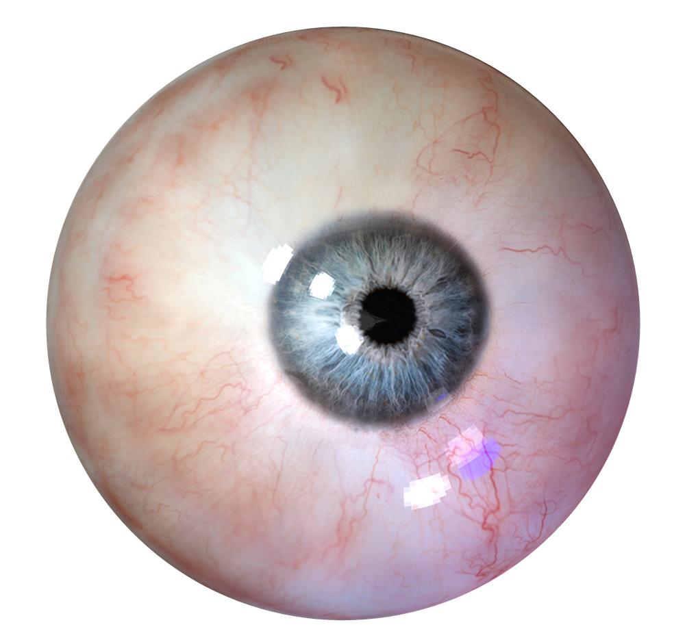 Download PNG image - Human Eye PNG Clipart 