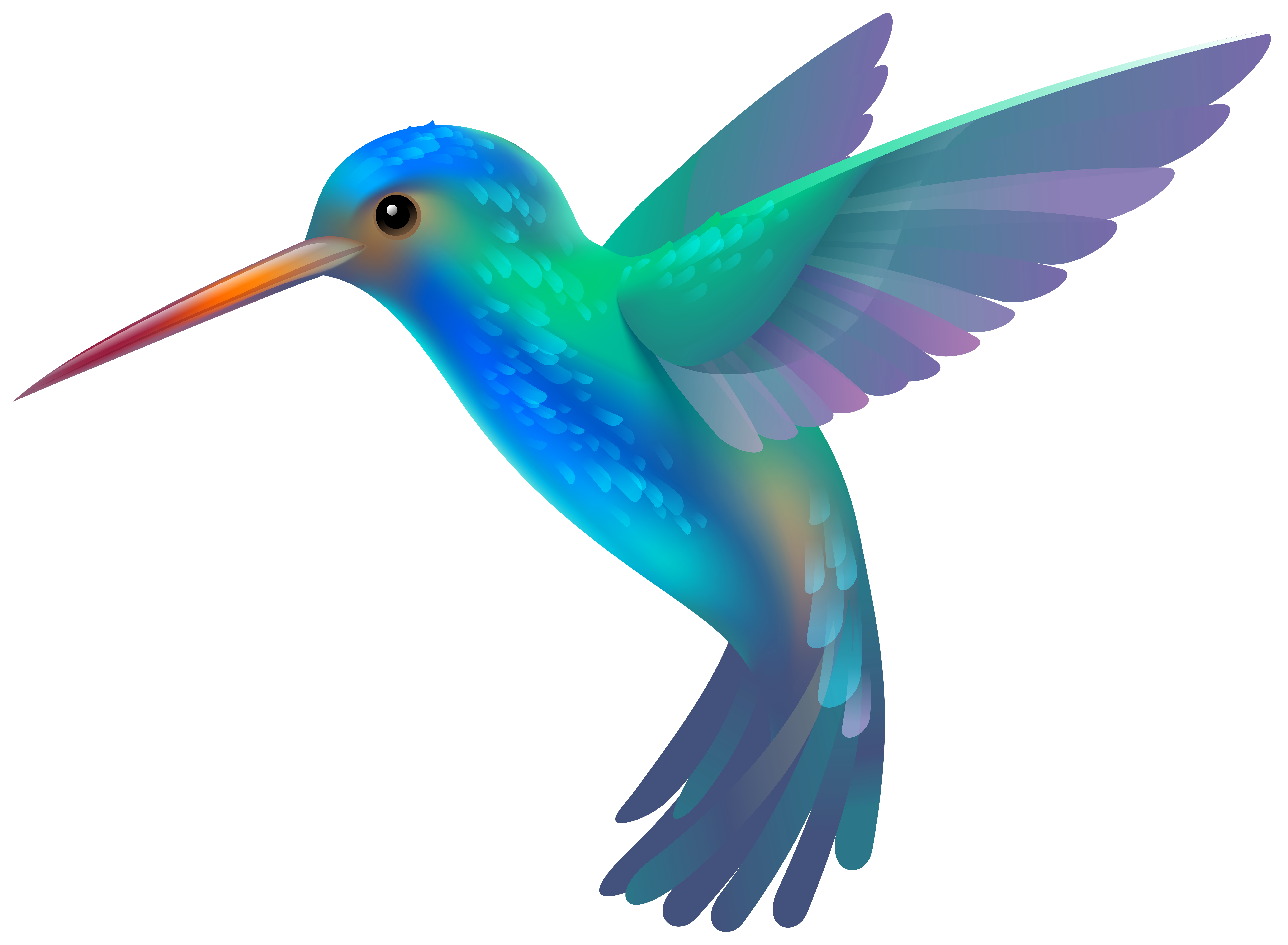 Download PNG image - Hummingbird Background PNG 