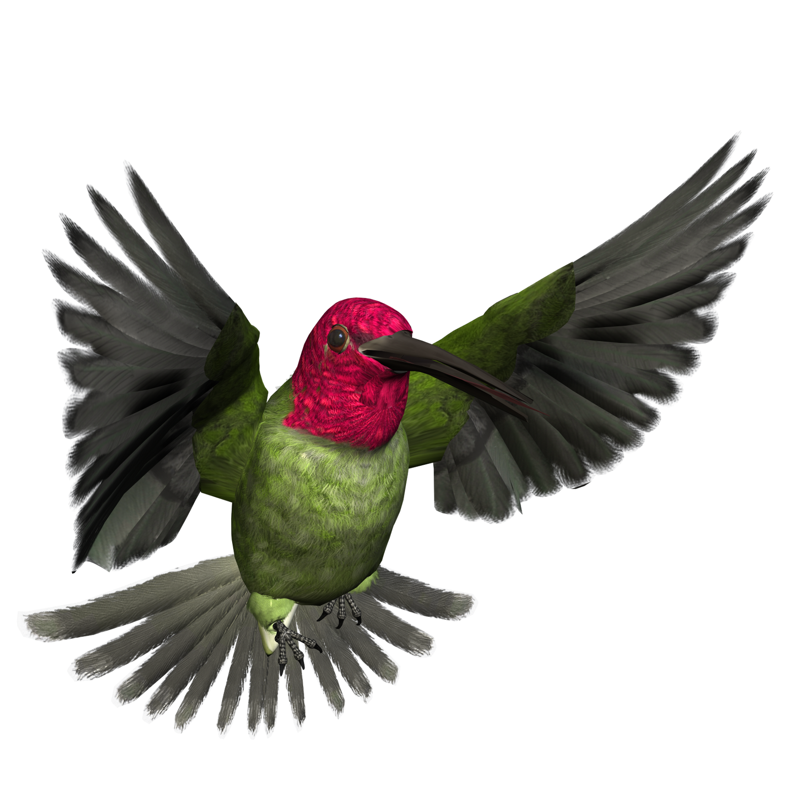 Download PNG image - Hummingbird PNG Pic 