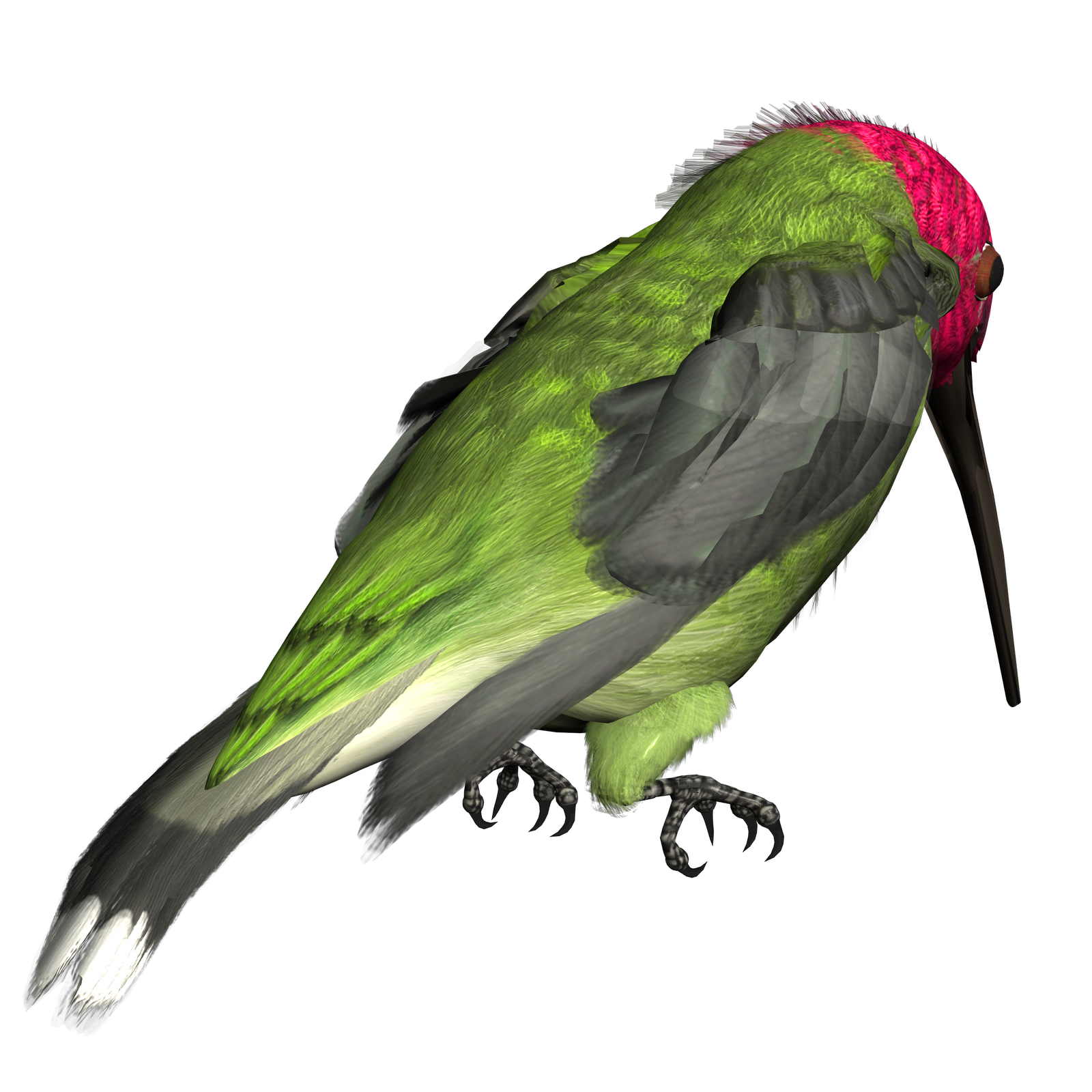 Download PNG image - Hummingbird PNG Picture 