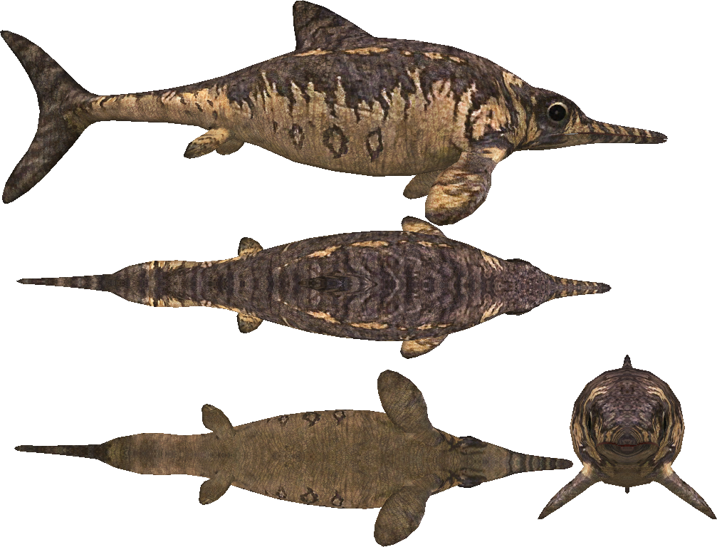 Download PNG image - Ichthyosaur PNG File 
