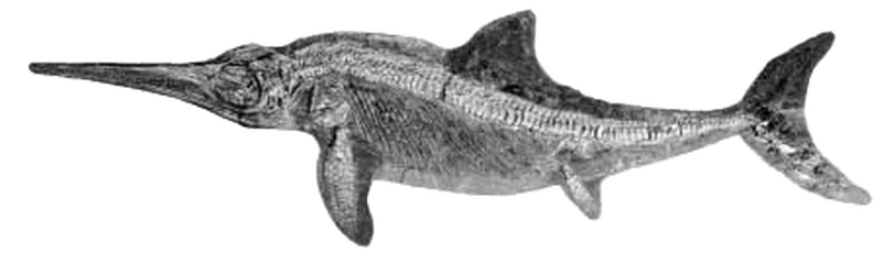Download PNG image - Ichthyosaur PNG Free Download 