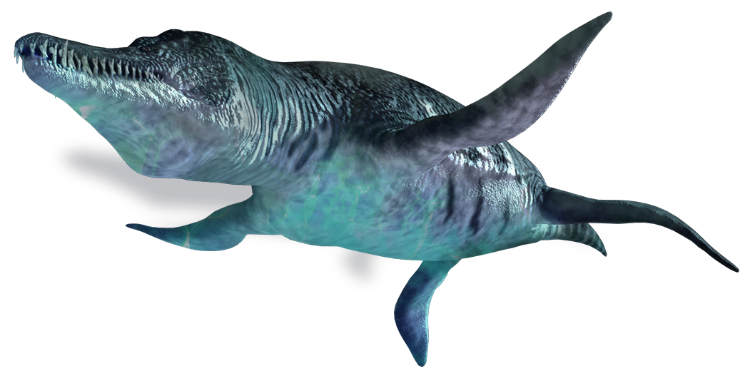 Download PNG image - Ichthyosaur PNG Photo 