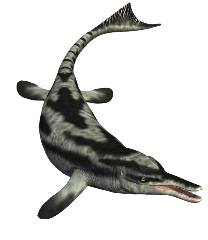 Download PNG image - Ichthyosaur PNG Photos 
