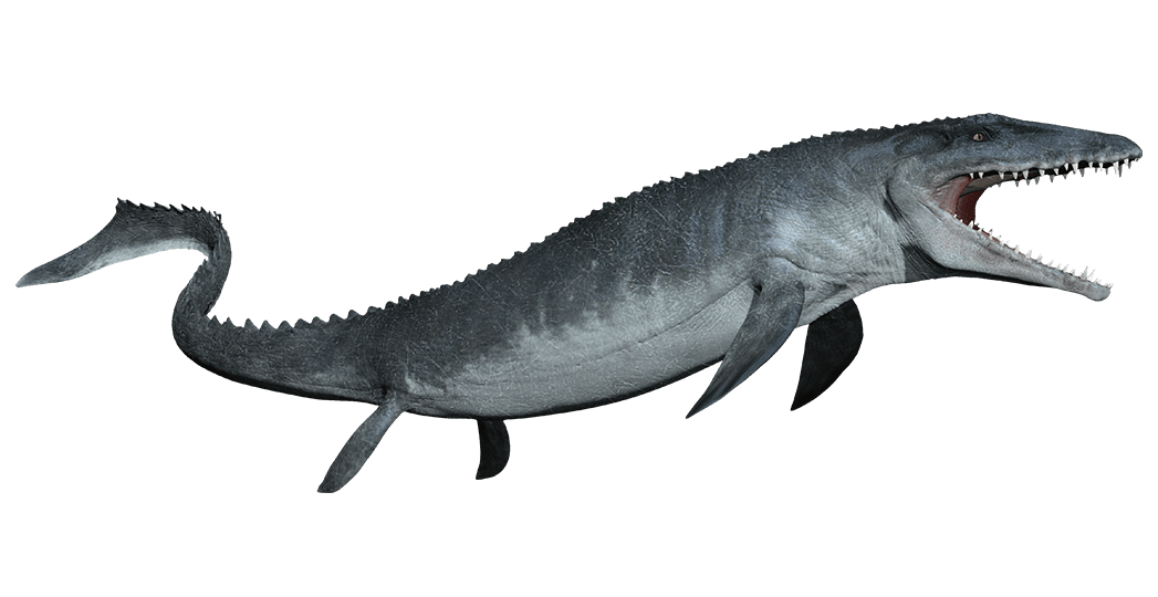 Download PNG image - Ichthyosaur Transparent Images PNG 