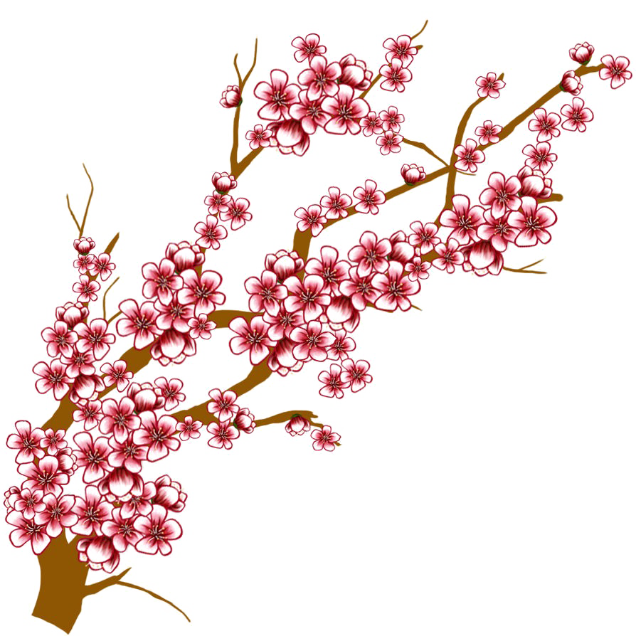 Download PNG image - Japanese Flowering Cherry Transparent Background 