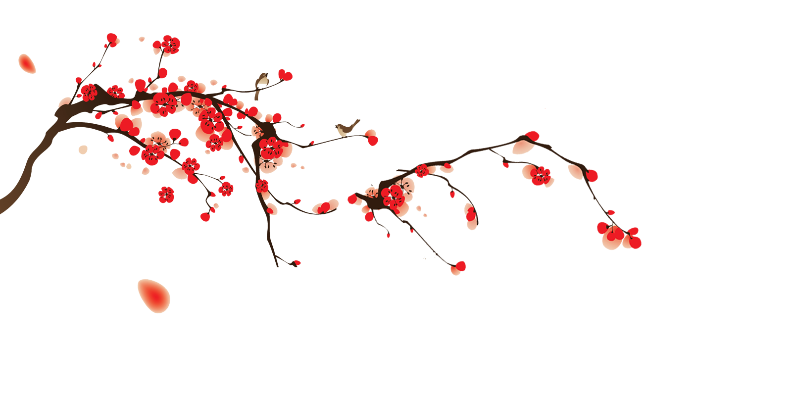 Download PNG image - Japanese Flowering Cherry Transparent Images PNG 
