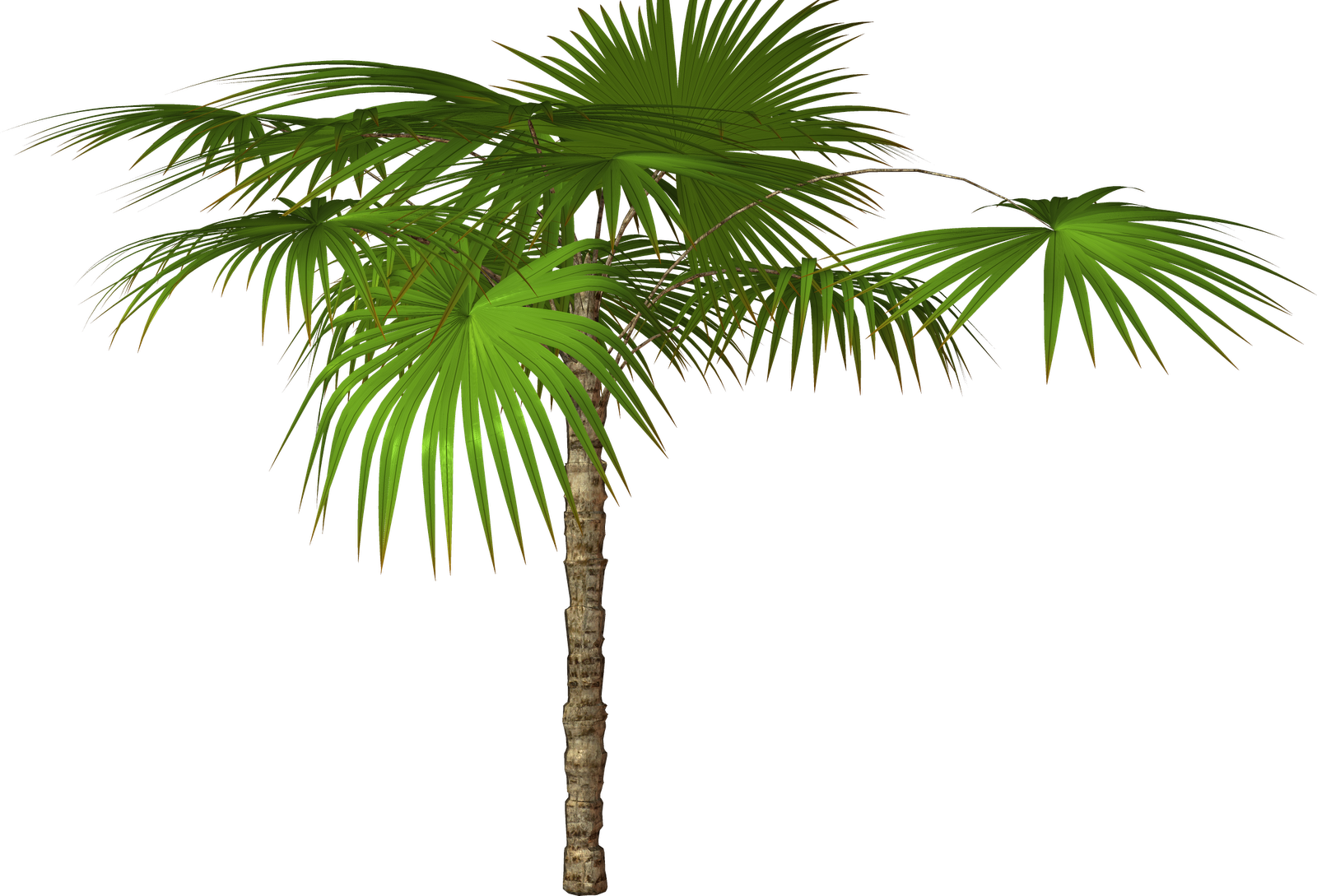 Download PNG image - Jungle Tree PNG Free Download 