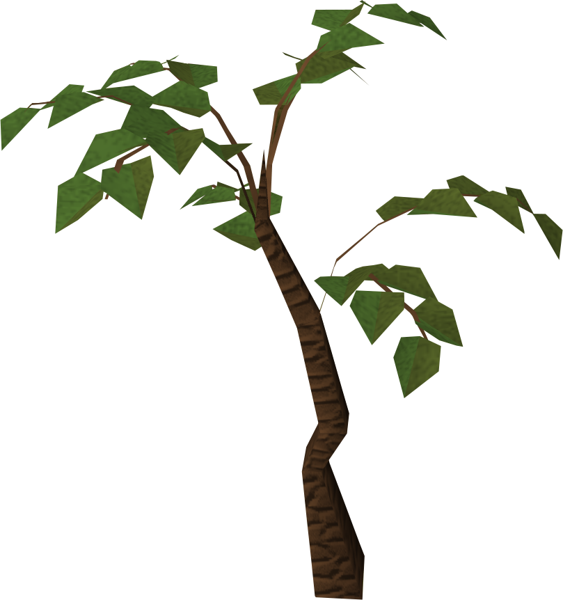 Download PNG image - Jungle Tree PNG HD 