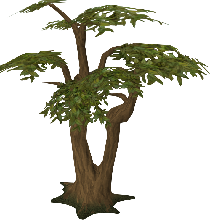 Download PNG image - Jungle Tree PNG Transparent Picture 
