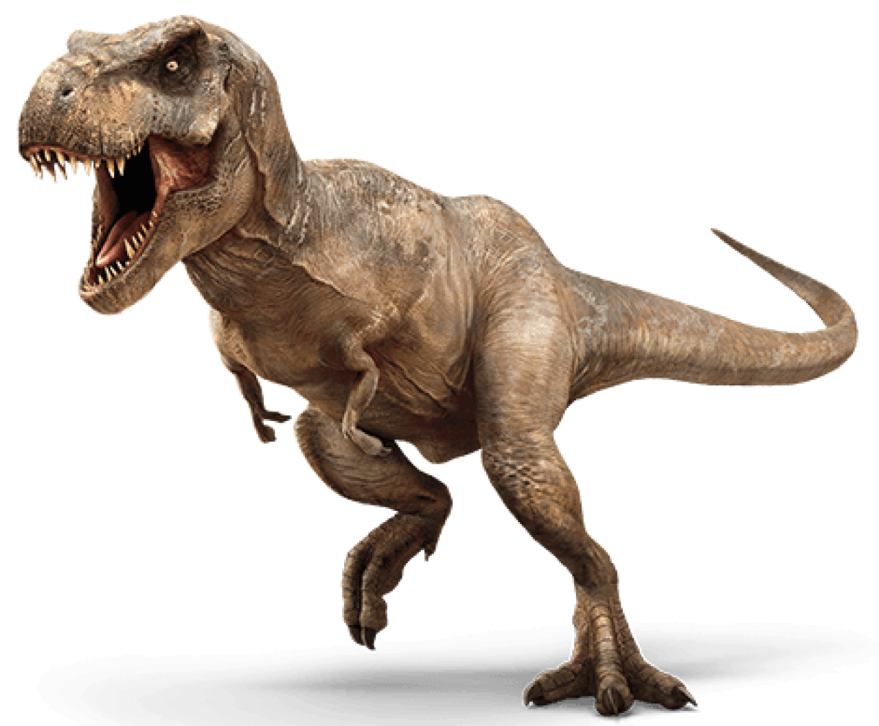 Download PNG image - Jurassic World Transparent PNG 