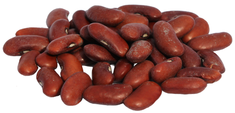 Download PNG image - Kidney Beans Transparent PNG 