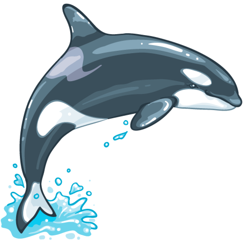 Download PNG image - Killer Whale PNG File 