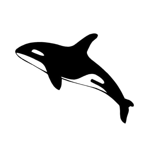 Download PNG image - Killer Whale Transparent Images PNG 