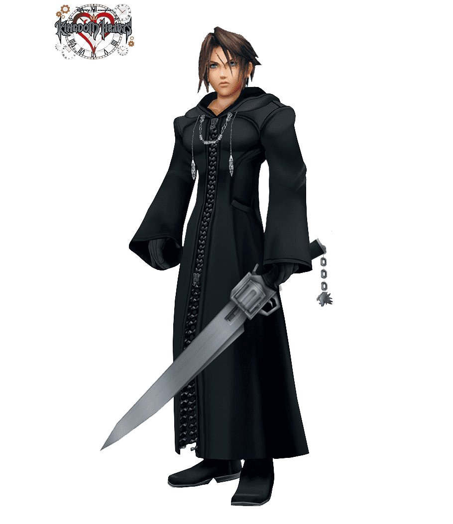 Download PNG image - Kingdom Hearts Organization XIII PNG HD 