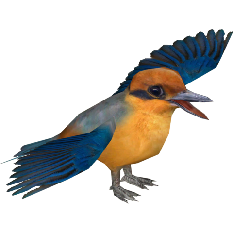 Download PNG image - Kingfisher PNG Transparent Image 
