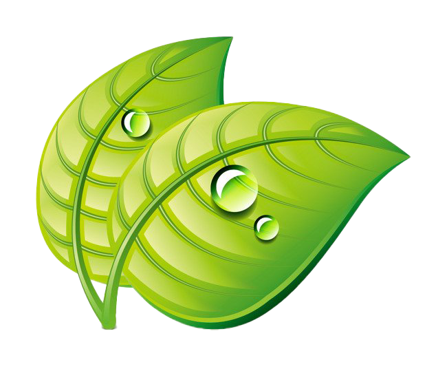 Download PNG image - Leaf Water Dew Drop PNG Image 