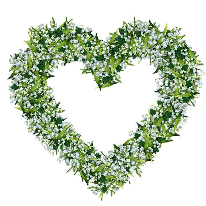 Download PNG image - Lily of The Valley PNG Photo 