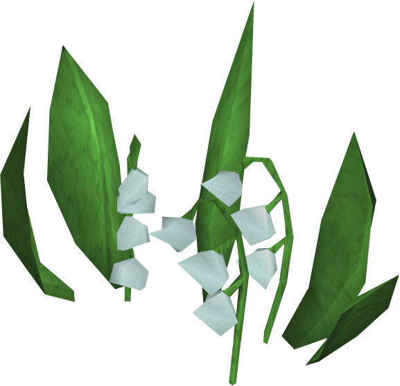 Download PNG image - Lily of The Valley Transparent PNG 