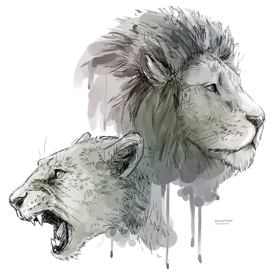 Download PNG image - Lioness Roar Transparent Background 