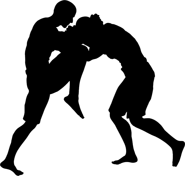 Download PNG image - MMA Grappling PNG HD 