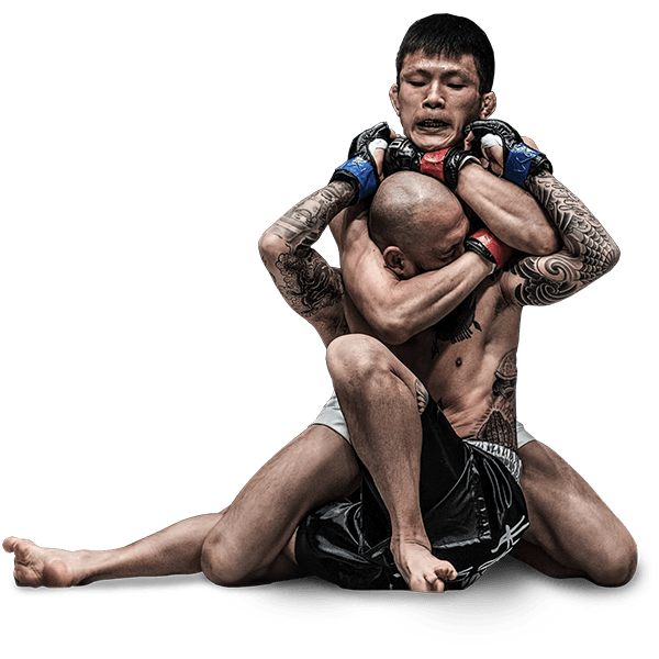 Download PNG image - MMA Grappling PNG Image 