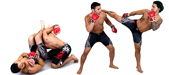 Download PNG image - MMA Grappling PNG Photos 