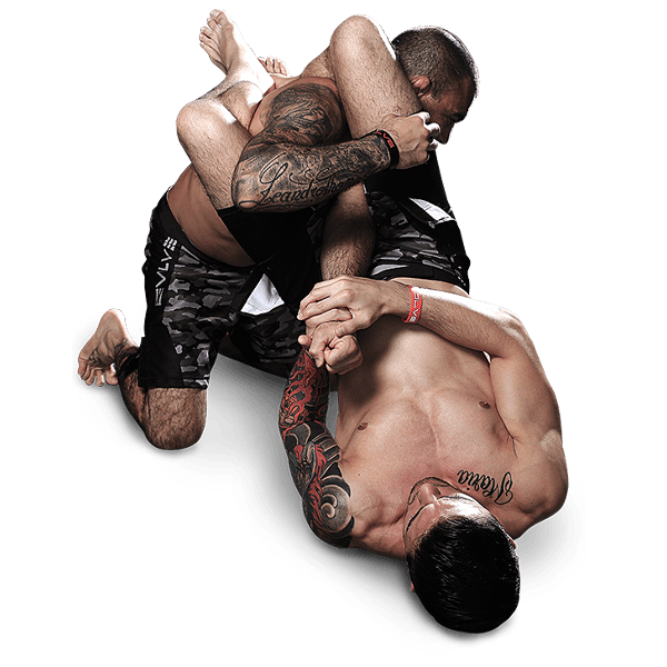 Download PNG image - MMA Grappling PNG Pic 