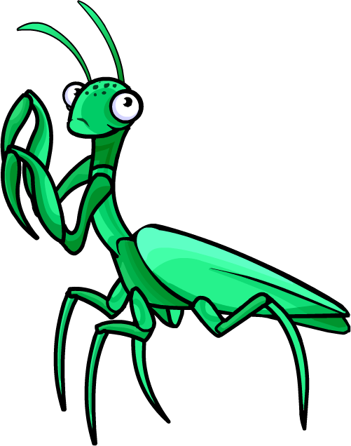 Download PNG image - Mantis Transparent Background 